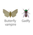 Colorful insects icons isolated wildlife wing vector image