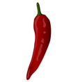 Red pepper vector image