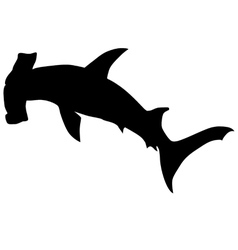 Hammerhead shark vector image