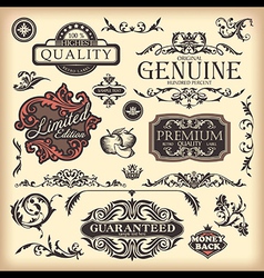 Floral vintage elements vector image