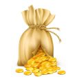 Cracked sack vector image