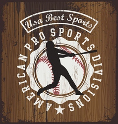 Baseball wood board vector image