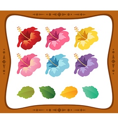 Set of Hibiscus Flower isolated on White Backgroun vector image