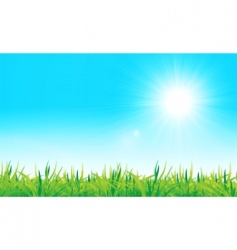 Grass and sky vector image