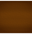 Brown Leather Texture vector image