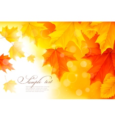 Autumn background with gold and red leaves Autumn background with gold and red leaves vector image