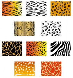 Animal fur and skin vector image