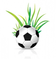 Vector soccer ball vector image
