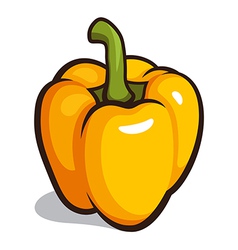 Bulgarian pepper vector image