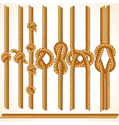 Seamless rope elements vector image