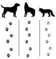 Canine tracks and silhouettes vector image