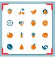 Fruits icons - in a frame series vector image