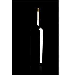 Wine bottle vector illustratio vector image