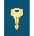 Golden key vector image