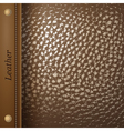 Leather vector image