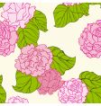 Peonies pattern vector image