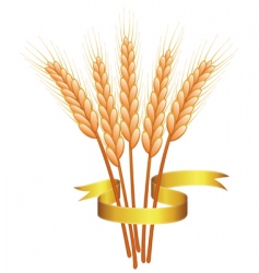 Wheat ears and golden ribbon vector image