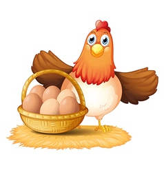 A hen and a basket of egg vector image