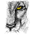Hand drawn Sketch of a lion vector image