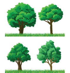 Green trees and grass set vector image