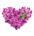 Heart from flowers vector image