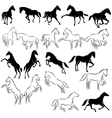 Set of horses vector image