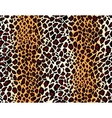 seamless jaguar skin pattern vector image