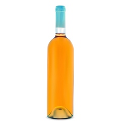 Glass bottle vector image
