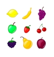 Fruit set Fruit set vector image
