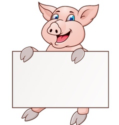 Pig with blank signboard vector image