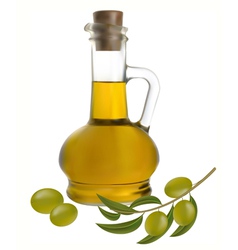 Bottle of olive oil vector image