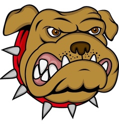 Bulldog cartoon vector image