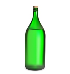 Green bottle vector image