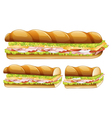 A berger vector image