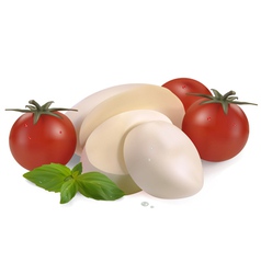 Vegetables vector image
