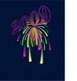 Fireworks vector image