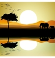 Safari of elephant silhouette vector image