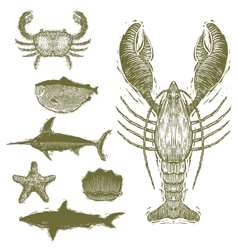 Woodcut Sea Creatures Woodcut Sea Creatures vector image