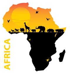 African map vector image