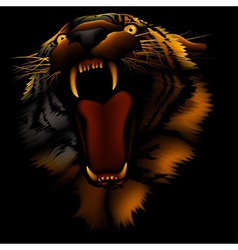 Fire Tiger vector image