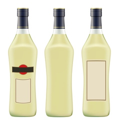 Vermouth martini vector image