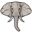 Elephant head vector image