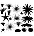 Sealife silhouettes vector image