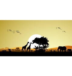 Beauty silhouette of safari animal vector image