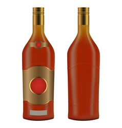 Cuban rum bottle vector image