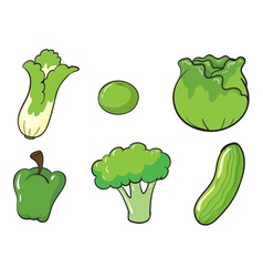 Green vegetables vector image