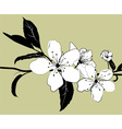 Flowering branch vector image