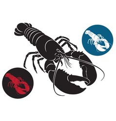 Cancer vector image