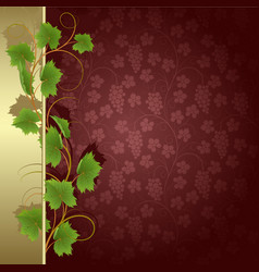 Vine vector image