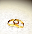 Two rings vector image